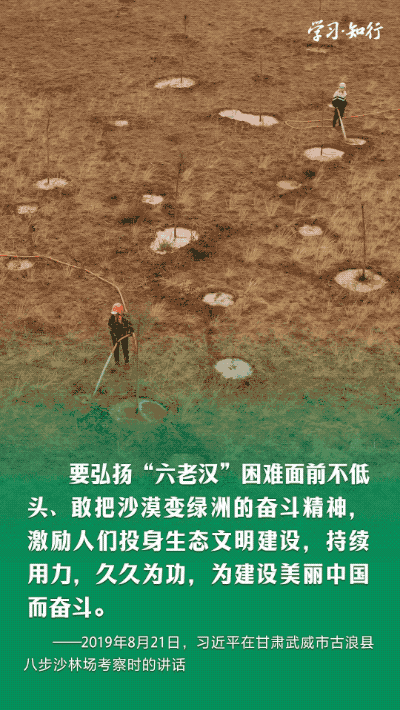 学习•知行丨书写绿色奇迹 习近平指引走好中国特色防沙治沙之路