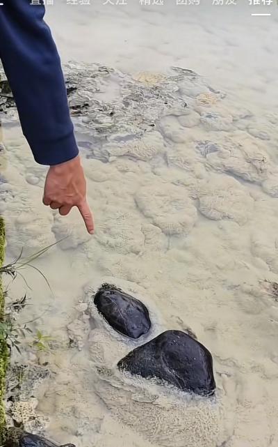 湖南一河流疑遭污水排放 官方已介入調(diào)查