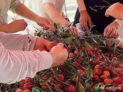 荔枝价格为何暴跌 产量增加物流改善