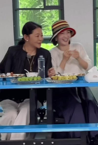 撒贝宁录节目爆料用谢娜家双胞胎婴儿车