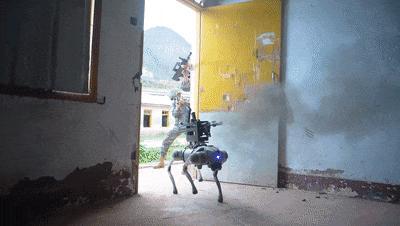大场面!机器狗扛枪冲锋 科技练兵显实力
