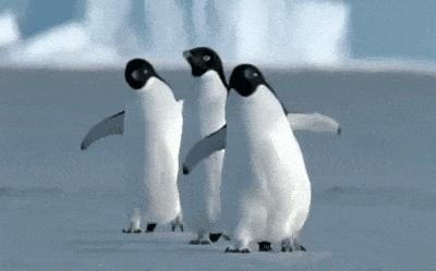 医生建议雪天步行防摔可学企鹅走路