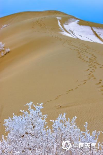 沙漠也有霧??？四大場(chǎng)景解鎖別樣冰雪奇緣