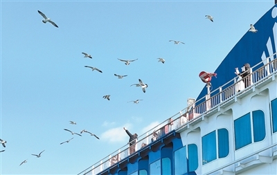 春运图景不断焕新（新时代画卷）