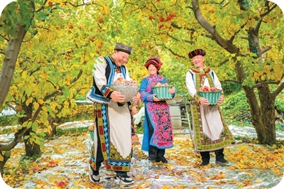 外网追问:中国苹果为何又多又好吃 科技与政策共赋能