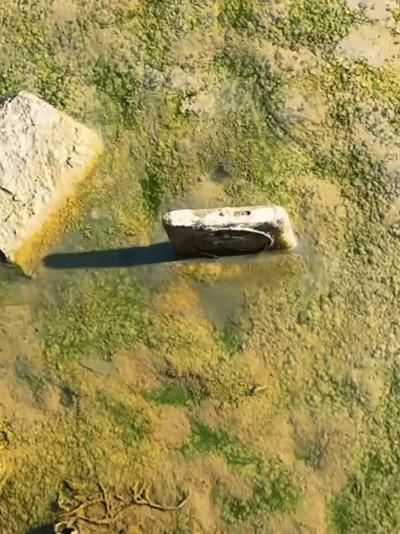 小伙钓鱼钓到丢2年手机 失主称惊喜 意外收获红包