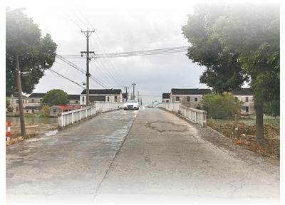 乡村振兴 连点成片 片区协同带动乡村活力