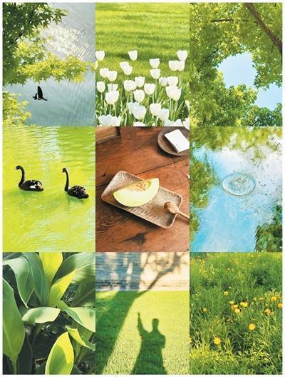 Colorwalk怎么火了 色彩漫步成春游新宠