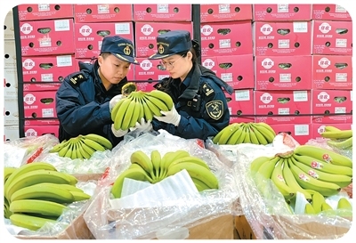 国门动植物检疫为开放护航