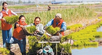 永葆先锋本色，在新征程上建功立业