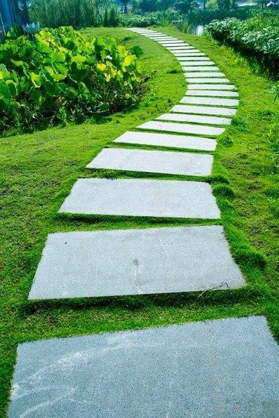 闲云野鹤⑱ | 问路
