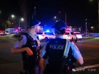 2025年，最勇敢的一个动作