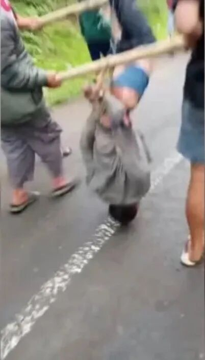 印尼男子性侵殘疾女子遭圍毆致死 村民徹底怒了