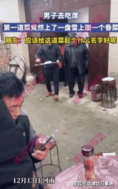 吃席首道菜是一盘雪上一根香菜 千里冰封一点绿