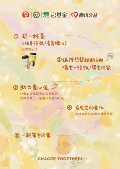霸王茶姬携手它基金开启“流浪动物回家之路爱心计划”