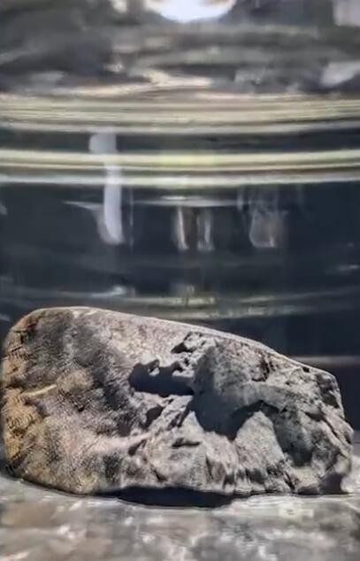 坠落英国的陨石中发现地外水