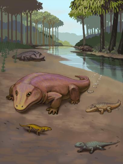 三亿年前的四足动物脚印曝光 揭秘华北最早生命踪迹