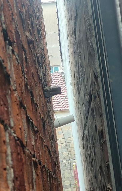 男子杀人拒悔罪 还称后悔“没灭门” 态度嚣张拒不赔偿