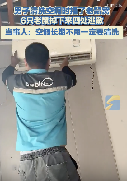 男子洗空調(diào)捅鼠窩 老鼠下餃子般逃散