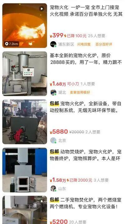 上海悄然兴起宠物殡葬服务 市场需求扩大