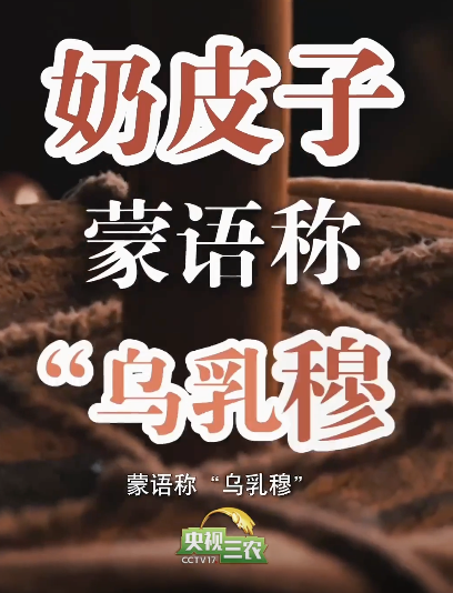 奶皮子不是奶酪也不是酸奶!