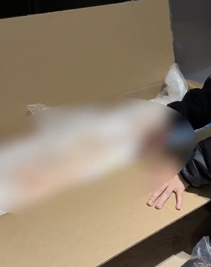 儿童硅胶娃娃 恋童癖