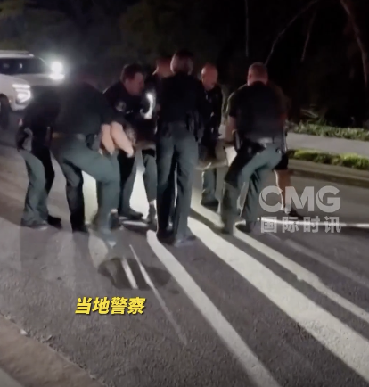 美國(guó)一街頭8人合力制服鱷魚