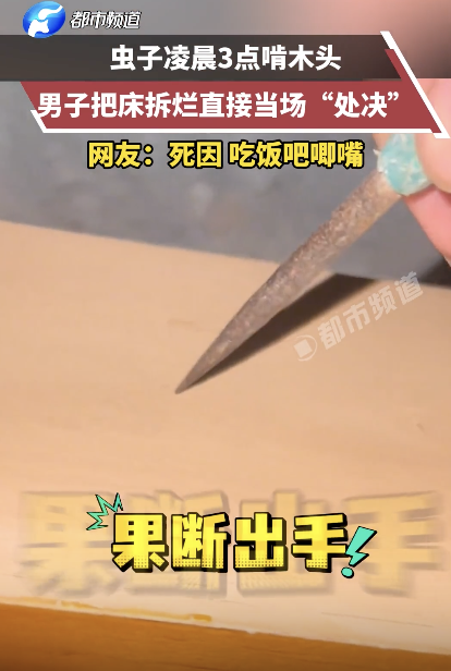 蟲子半夜吃飯吧唧嘴被男子當(dāng)場處決 噪音擾民終遭報應(yīng)