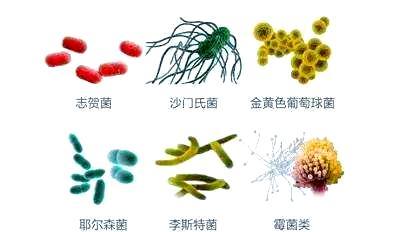 为什么不要反复化冻肉？感染致命菌的风险升高 细菌繁殖隐患增加