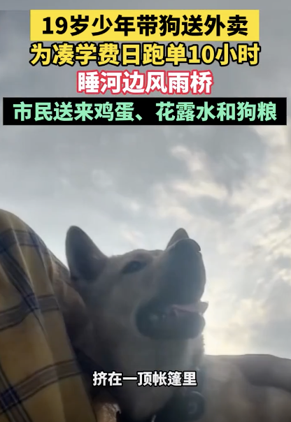 少年送外賣湊學(xué)費(fèi)日跑單10小時 帶狗同行共度難關(guān)
