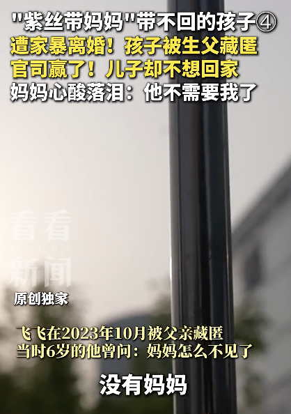 女子遭家暴离婚儿子被误导排斥母亲 五年缺席酿成悲剧