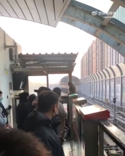 北京地铁回应闯进猴子：加强巡查，乘客请不要投喂