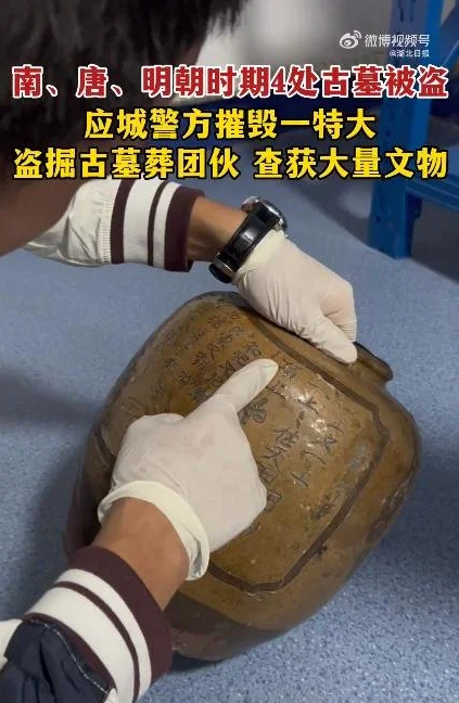 男子为盗古墓先种庄稼