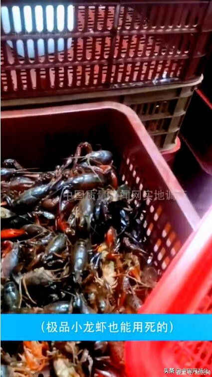 武汉一知名虾店被曝用黑油死虾 死蟹不发臭就行？