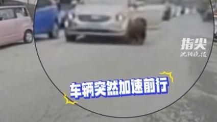 女司機溜車時下車被帶倒