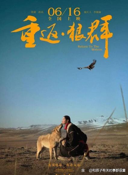 狼王格林“报恩”一幕看哭千万网友 草原上的每匹狼都是它