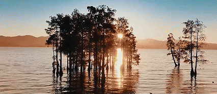 微视频｜谱写全球湿地保护新篇章