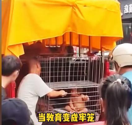 幼童籠中赤裸涉事家庭3人天生殘疾 事件反轉(zhuǎn)引關(guān)注