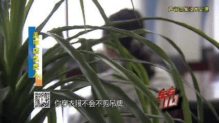 女子到滬所有花銷全靠白嫖 “薅羊毛”高手落網(wǎng)