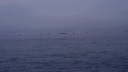 中东乱局波及全球 德国农业受影响 化肥短缺引发危机