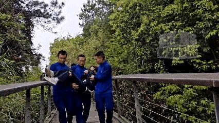 少年公园内骑电动车摔倒 消防员救人 争分夺秒人力接力救援