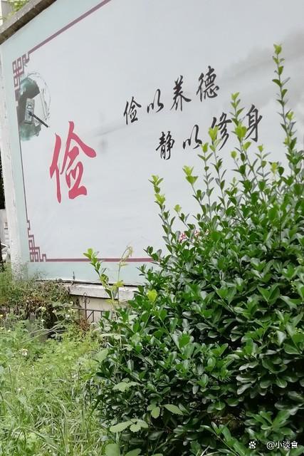 四月初三提醒：1不争、2不走、3不碰 祈福求平安