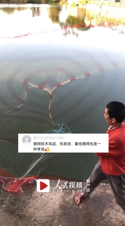 男子捞鱼撒网像天女散花，网友直言这网撒我心上了