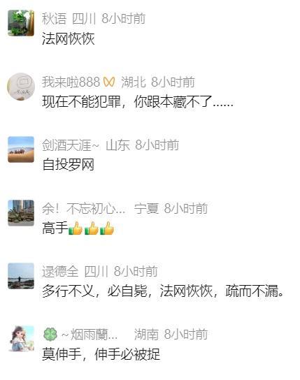 网逃人员车管所办业务被抓获 不动声色的较量