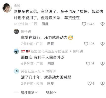 三台极越车主称接受不了 车企倒闭风险加剧