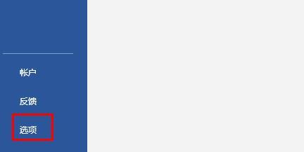 Word文档怎么去除红色波浪线