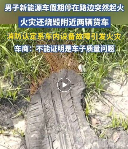浙江一男子新能源车假期停路边自燃