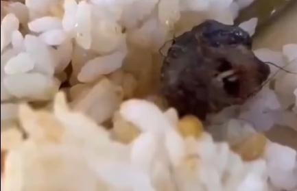 国务院食安办约谈2地政府主要负责人,涉“鼠头鸭脖”等事件