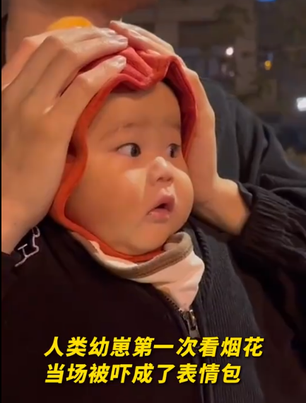 当人类幼崽第一次看烟花，当场被吓成表情包