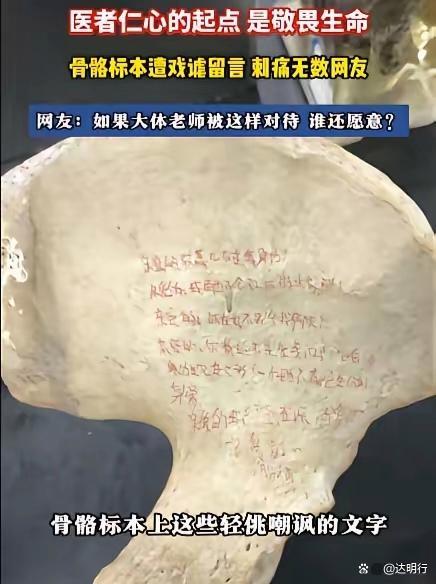 媒体人：大体老师不容亵渎 轻浮行为引发众怒
